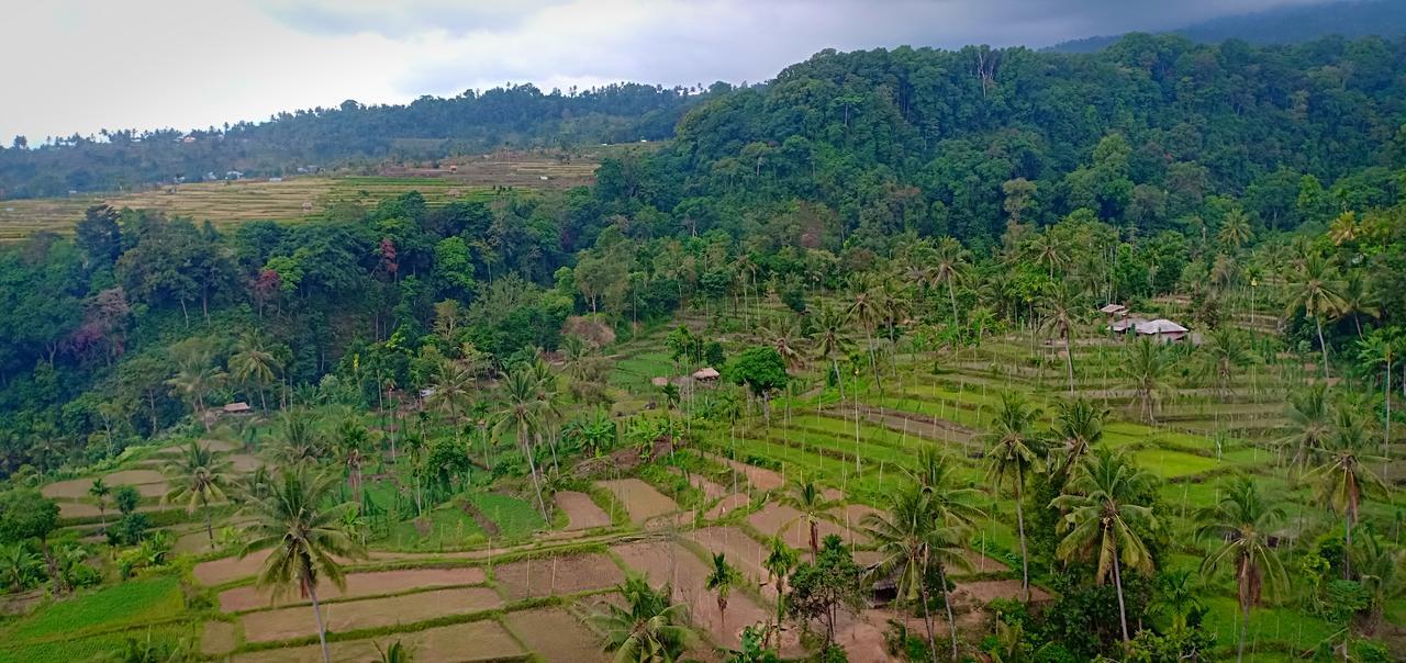 Green Rinjani Guest Houst Hotel Сенару Екстериор снимка